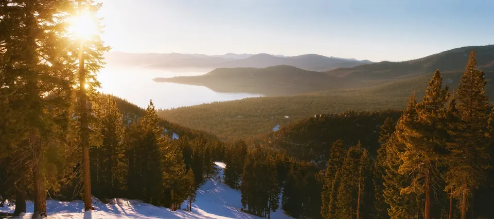Winter sunrise through tall pines above a snowy ski run, looking out over Lake Tahoe